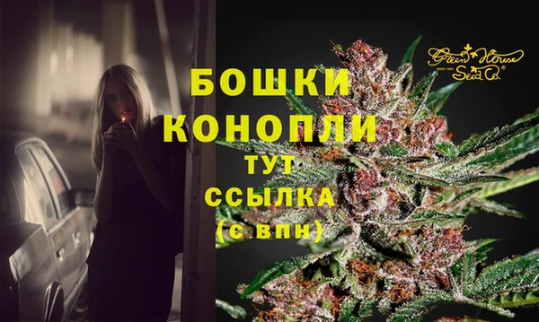 дмт Нягань