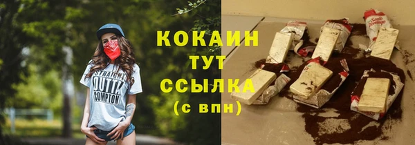 спайс Няндома
