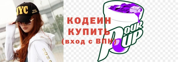 спайс Няндома