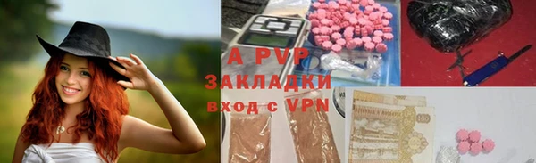 спайс Няндома