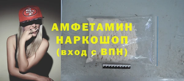спайс Няндома