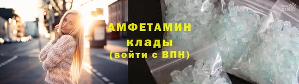 прущие грибы Киренск