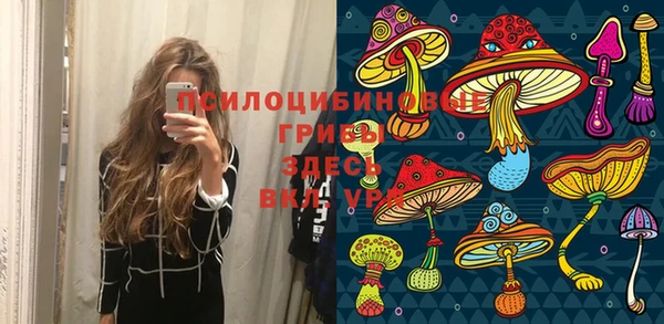 дмт Нягань