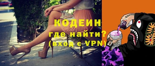 спайс Няндома