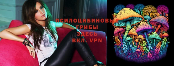 дмт Нягань