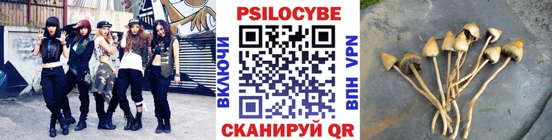гидра ссылки  Иноземцево  Псилоцибиновые грибы Cubensis 